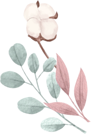 c1